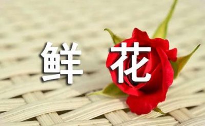 ​五月的鲜花现代诗歌