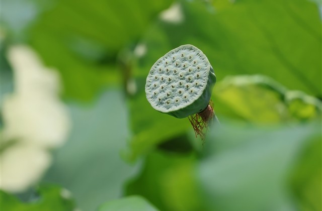 好听不俗的网名(精选118个)