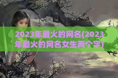 ​2024年最火的网名(2024年最火的网名女生两个字)